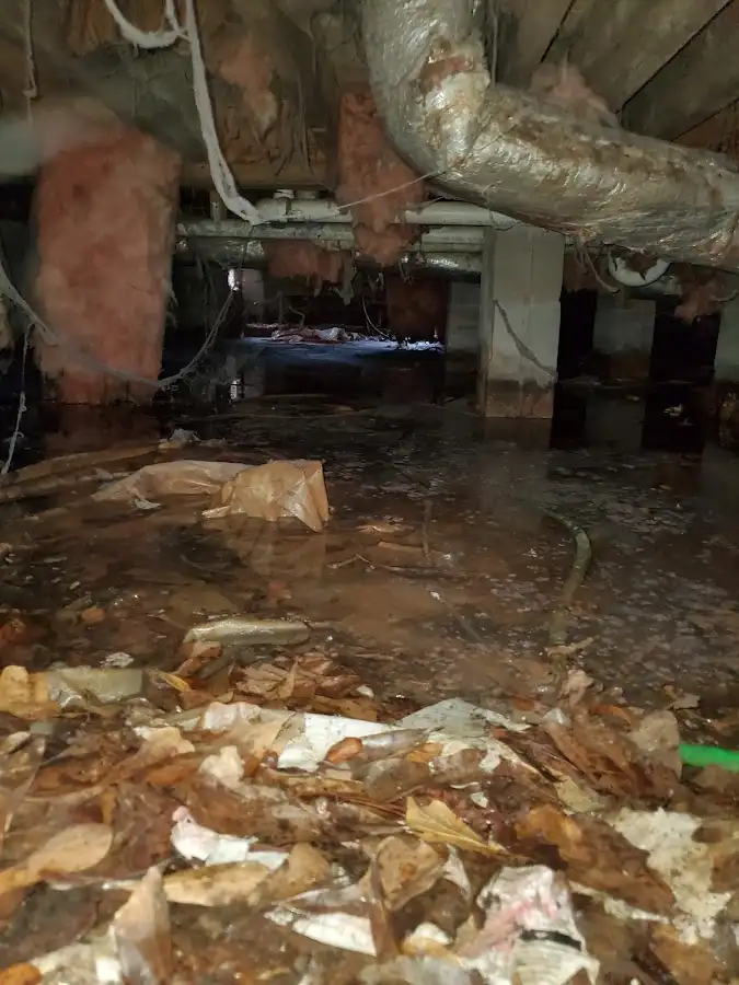 Crawl space flood assessment for Leak Detection & Repair in Whitfield