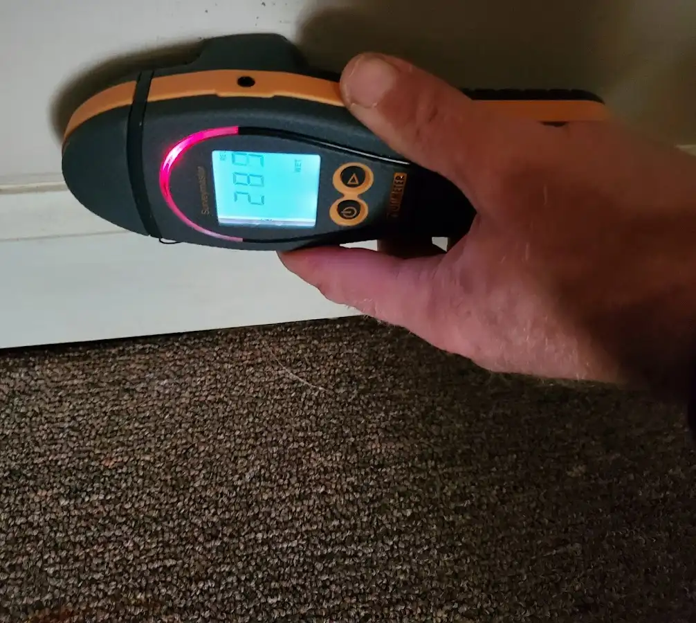 Moisture detection at baseboard during Sewage Cleanup & Sanitation in Whitfield